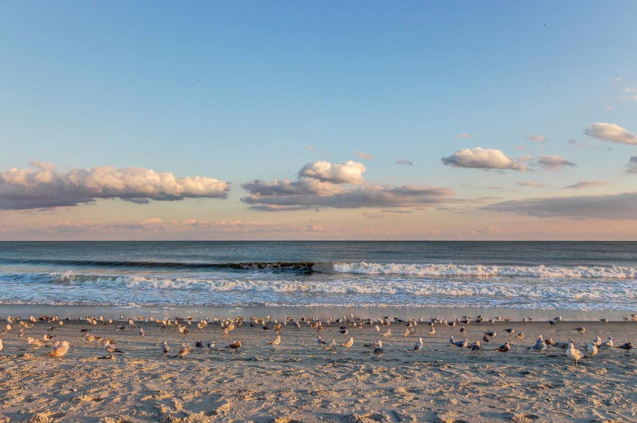 Sea Turtle Hotel Myrtle Beach Buitenkant foto